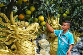 Cận cảnh chậu bưởi hình rồng giá trăm triệu đồng