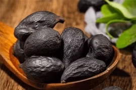 Lên núi đụng trúng quả trứng lạ, ngỡ ngàng khi biết giá trị thật