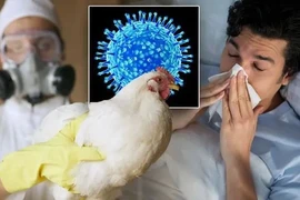 Phân biệt cúm A và cúm A/H5N1 bằng cách nào?