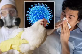 Phân biệt cúm A và cúm A/H5N1 bằng cách nào?