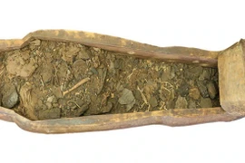 Quét CT quan tài cổ, ngã ngửa phát hiện xác ướp Ai Cập bên trong