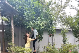 Cơ ngơi xanh mướt của vợ chồng ca sĩ Vy Oanh tại Đà Lạt