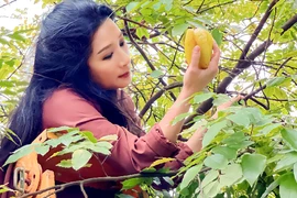 Cận cảnh nhà vườn “đi mỏi chân” của nghệ sĩ Thanh Thanh Hiền