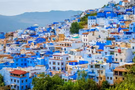 Khám phá thành phố tuyền một màu xanh "độc nhất vô nhị" 