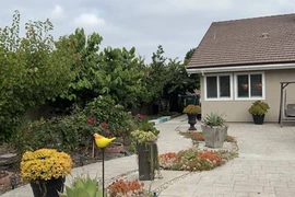 Ngắm khu vườn ngập hoa trái của Hà Thanh Xuân tại Mỹ