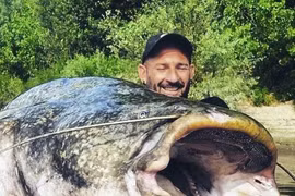 Câu cá trên sông, bất ngờ đụng trúng "quái ngư" nặng 120kg