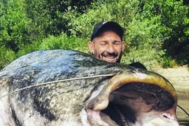 Câu cá trên sông, bất ngờ đụng trúng "quái ngư" nặng 120kg