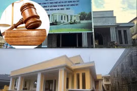 Vì sao công ty Đại Cát bị cấm đấu thầu?