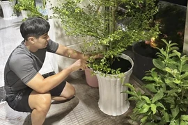 Xuýt xoa ban công ngập tràn cây xanh trong căn hộ của MC Nguyên Khang 