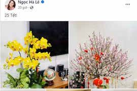 Góc nhỏ phòng khách đầy hoa tươi trong nhà NSND Công Lý ngày cận Tết