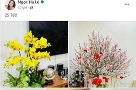 Góc nhỏ phòng khách đầy hoa tươi trong nhà NSND Công Lý ngày cận Tết