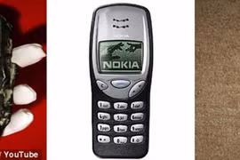 Mở mộ cổ, chuyên gia kinh ngạc thấy hiện vật giống "điện thoại Nokia"?