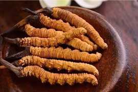 Khai quật "thủy mộ", chuyên gia thất kinh khi thấy thứ này