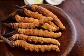 Khai quật "thủy mộ", chuyên gia thất kinh khi thấy thứ này