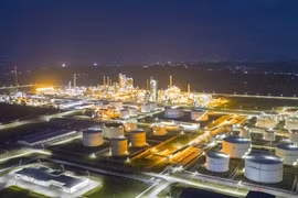 BSR hủy thầu mua bảo hiểm nhân thọ, quyền lợi NLĐ bị ảnh hưởng ra sao?