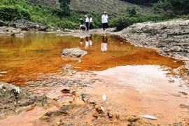 Nghệ An: Nước suối đổi màu, cá chết bất thường