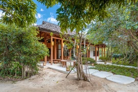 Ngôi nhà mái lá độc đáo ở Nha Trang “gây sốt” trên báo ngoại 