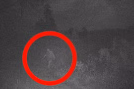Xem lại ảnh cũ, bất ngờ thấy sinh vật bí ẩn nghi "quái vật" Bigfoot