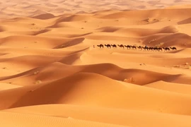 Khoa học hé lộ bí mật của những cồn cát hình sao trên Trái Đất