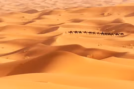 Khoa học hé lộ bí mật của những cồn cát hình sao trên Trái Đất