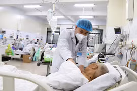 Ngừng tuần hoàn do lá ngón: Bác sĩ chỉ rõ lá ngón và cây thuốc, rau