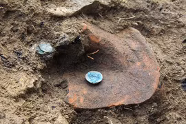 Đang cày ruộng, bất ngờ tìm thấy "kho báu" khổng lồ