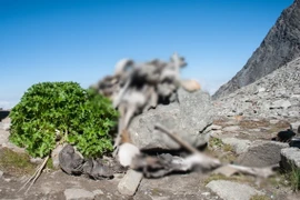 Bí ẩn “hồ xương người” đáng sợ nhất thế giới