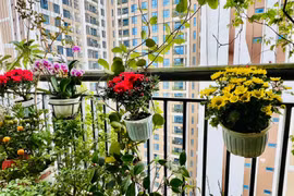 Không gian sống ngập sắc xuân của MC Diễm Quỳnh