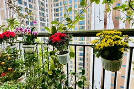 Không gian sống ngập sắc xuân của MC Diễm Quỳnh