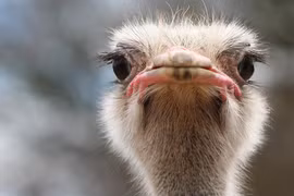 8 sự thật thú vị về thế giới có thể bạn chưa biết