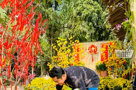 Ngắm nhà vườn 6.000m2 của tài tử Huỳnh Anh Tuấn