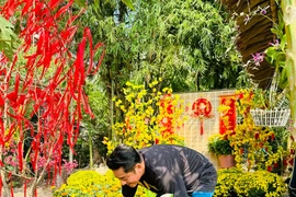 Ngắm nhà vườn 6.000m2 của tài tử Huỳnh Anh Tuấn