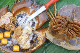 Top đặc sản ngon nức tiếng ở Cát Bà