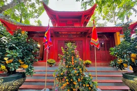 Choáng ngợp 2 biệt phủ bạc tỷ của nghệ sĩ hài Vượng Râu 