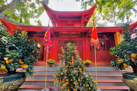 Choáng ngợp 2 biệt phủ bạc tỷ của nghệ sĩ hài Vượng Râu 