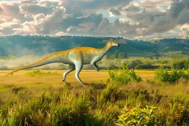 Phát hiện "quái thú" chưa từng được biết đến: Mình bò sát, chân đà điểu