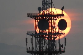 Điều thú vị về hiện tượng "gấu trúc hoàng hôn" kỳ thú tại Nhật Bản