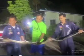 Hoảng hốt thấy "quái thú" khổng lồ dài hơn 4,5 mét ẩn nấp trong ô tô