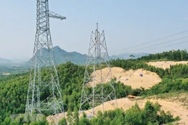 Hà Tĩnh chuyển đổi gần 22ha rừng làm Dự án Đường dây 500kV Quảng Trạch-Quỳnh Lưu