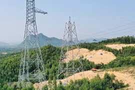 Hà Tĩnh chuyển đổi gần 22ha rừng làm Dự án Đường dây 500kV Quảng Trạch-Quỳnh Lưu