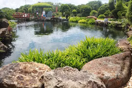 Chiêm ngưỡng hồ cá Koi 20 tỷ của đại gia Thái Nguyên