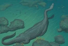 Lộ diện "quái vật biển" hoàn toàn mới, giới khoa học bối rối