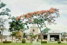 Loạt ảnh đặc biệt về Cố đô Huế năm 1963