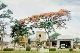 Loạt ảnh đặc biệt về Cố đô Huế năm 1963