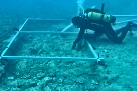 Khám phá con đường đá gần 7.000 tuổi "ngủ vùi" dưới đáy biển