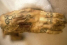 Hàng chục hình xăm "độc" trên xác ướp Ai Cập 3.000 tuổi