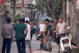 Trâu "điên" tấn công làm 3 người thương vong ở Quảng Bình