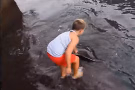 Gặp sinh vật biển kỳ lạ, bé trai 8 tuổi có hành động không ngờ