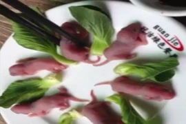 Kinh hãi món chuột bao tử sống lúc nhúc ở Trung Quốc