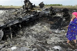 Một năm vụ rơi máy bay MH17: Những cột mốc không quên